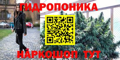 трава Беслан