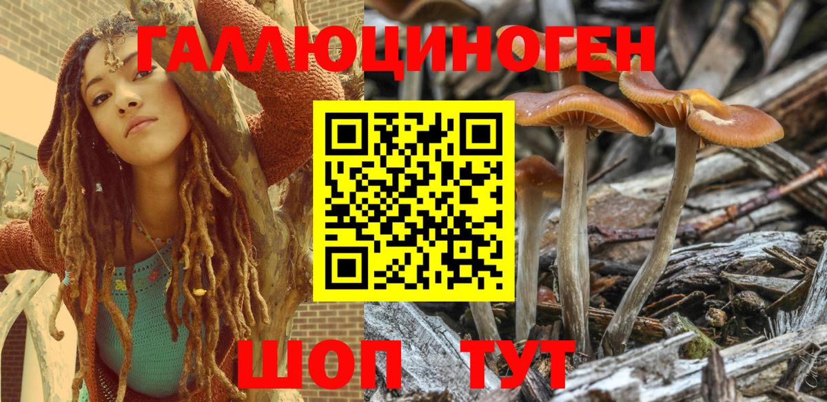 Псилоцибиновые грибы Psilocybine cubensis  Галлюциногенные грибы мицелий  Вход с VPN  Кирово-Чепецк 